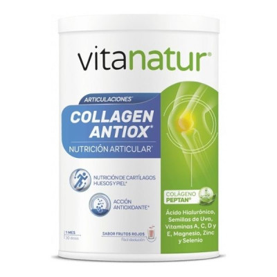 Vitanatur Articulaciones Collagen Antiox 360g