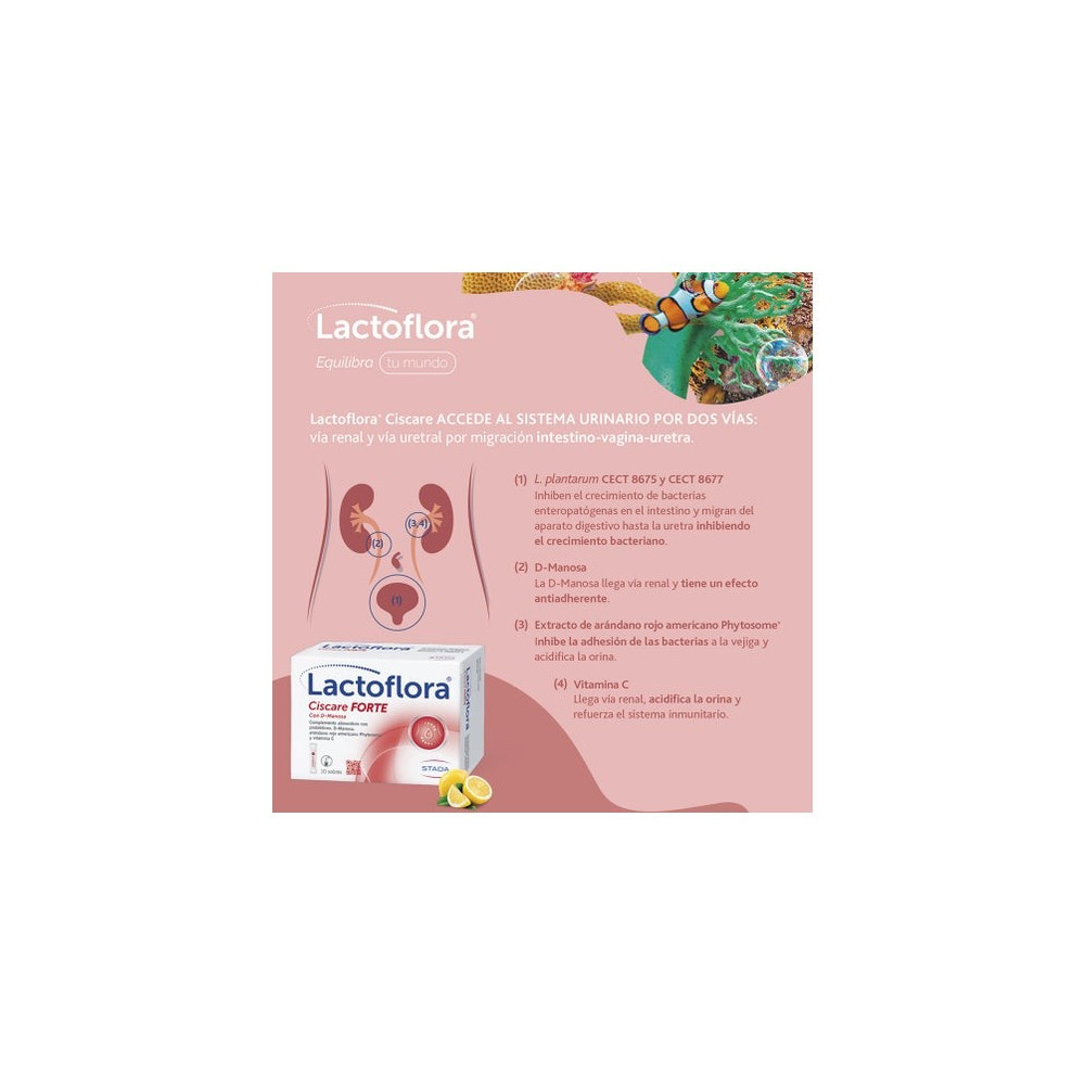 Lactoflora Cis-C Forte con D-Manosa 10 sobres