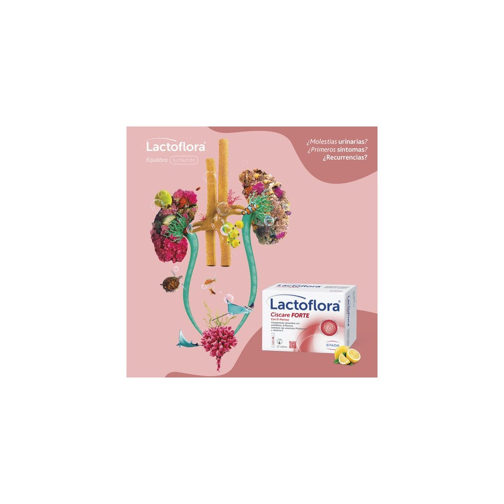 Lactoflora Cis-C Forte con D-Manosa 10 sobres